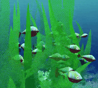 Cyberquarium